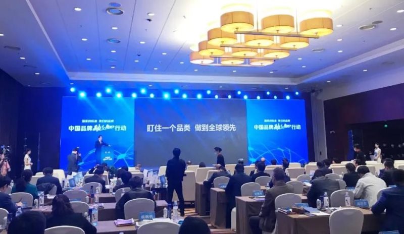 定了！美麗島進(jìn)了國(guó)家隊(duì)，新華社專訪