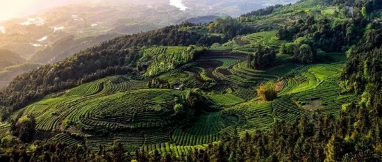 美麗島多焦鏡：這個(gè)明凈新春，以時(shí)間為軸，扶搖直上